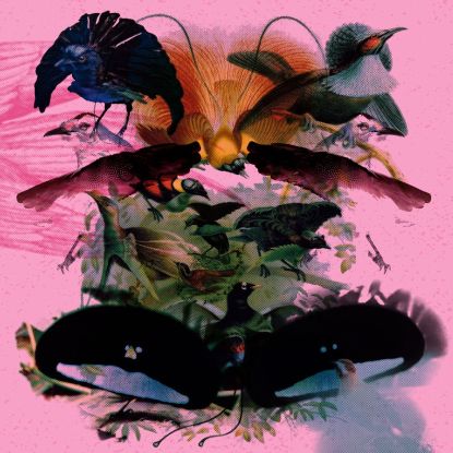 LEON VYNEHALL / レオン・ヴァインホール / ROJUS (DESIGNED TO DANCE) DOUBLE EP