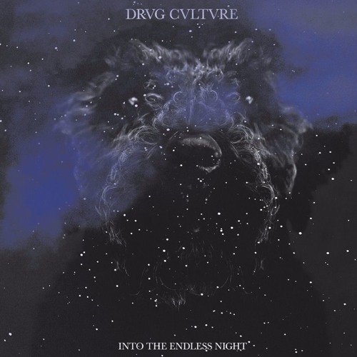 DRVG CVLTVRE / INTO THE ENDLESS NIGHT