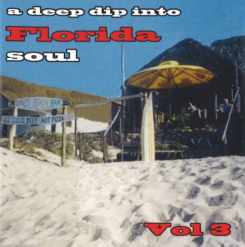 V.A. (A DEEP DIP INTO) / DEEP DIP INTO FLORIDA SOUL VOL.3 (CD-R)