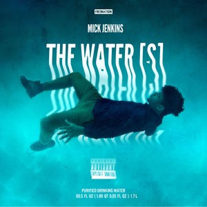 MICK JENKINS / THE WATER[S] "2LP"
