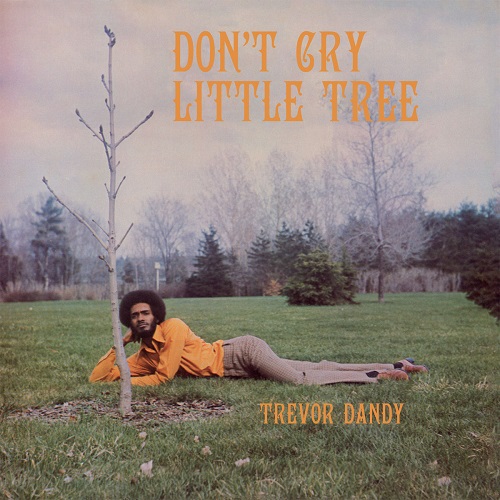 TREVOR DANDY / トレーボル・ダンディ / DON'T CRY LITTLE TREE