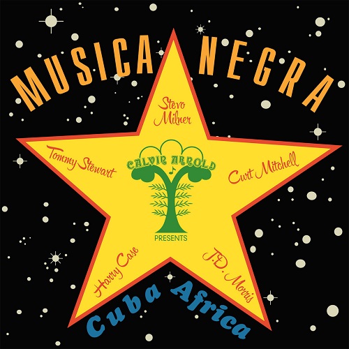 STEVO / MUSICA NEGRA