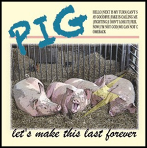 PIG(PUNK) / Let's make this last forever