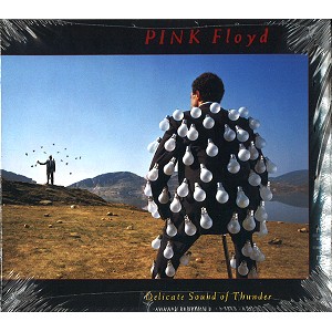 PINK FLOYD / ピンク・フロイド / DELICATE SOUND OF THUNDER
