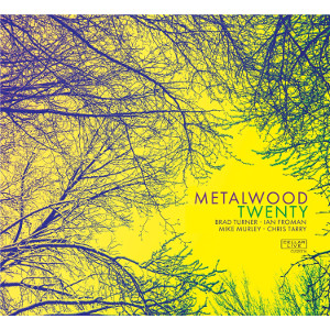 METALWOOD / Twenty 
