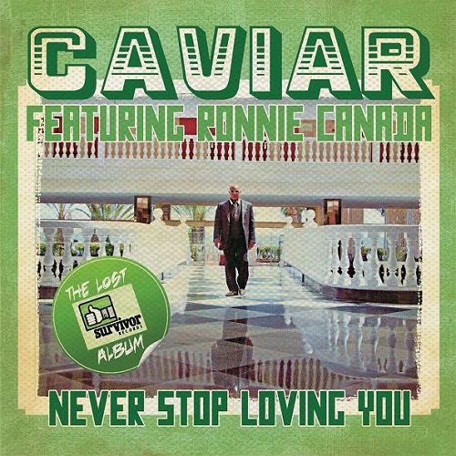 CAVIAR / キャビア / NEVER STOP LOVING YOU (LP)