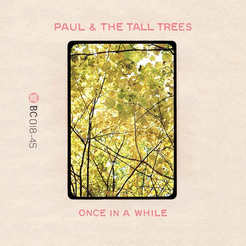 PAUL & THE TALL TREES / LITTLE BIT OF SUNSHINE / ONCE IN A WHILE (7")