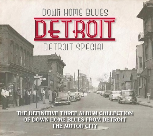 V.A. (DOWN HOME BLUES DETROIT) / オムニバス / DOWN HOME BLUES DETROIT: DETROIT SPECIAL