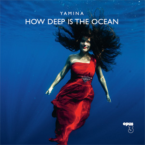 YAMINA / ヤミナ / How Deep Is the Ocean(LP)