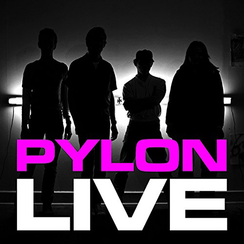 PYLON / パイロン / LIVE (2LP)
