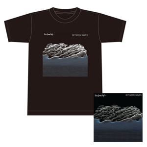 The Album Leaf / BETWEEN WAVES Tシャツ付/S