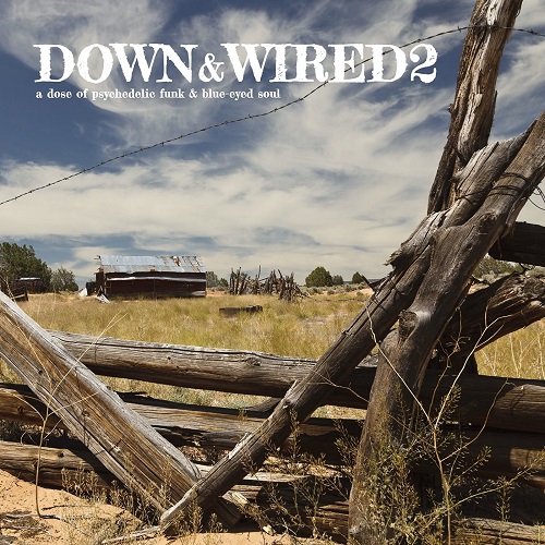 V.A. (DOWN & WIRED) / DOWN & WIRED 2 (LP)