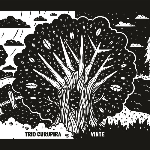 TRIO CURUPIRA / VINTE