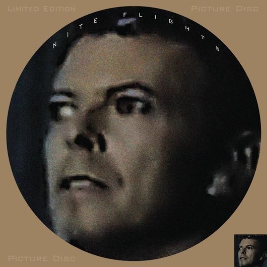 DAVID BOWIE / デヴィッド・ボウイ / NITE FLIGHTS (PICTURE DISC LP)