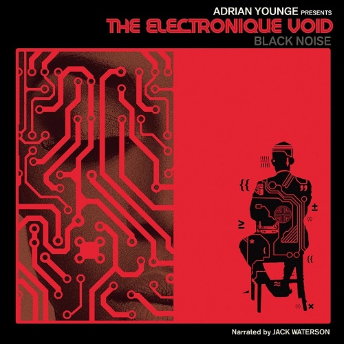ADRIAN YOUNGE / エイドリアン・ヤング / ELECTRONIQUE VOID: BLACK NOISE (LP)