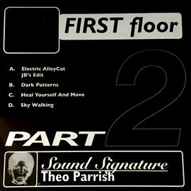 THEO PARRISH / セオ・パリッシュ / FIRST FLOOR PART 2 (REISSUE)