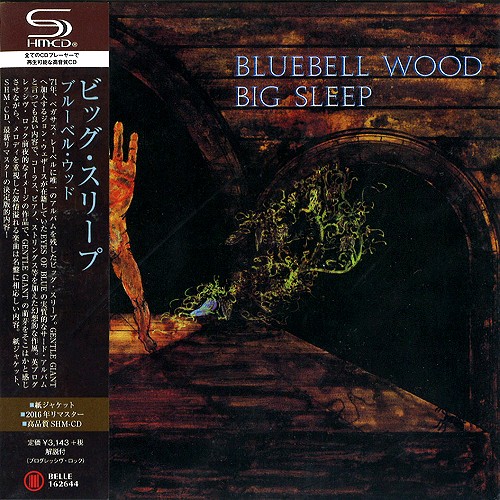 BIG SLEEP / ビッグ・スリープ / ブルーベル・ウッド - リマスター/SHM-CD