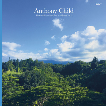 ANTHONY CHILD (SURGEON) / ELECTRONIC RECORDINGS FROM MAUI JUNGLE VOL 2