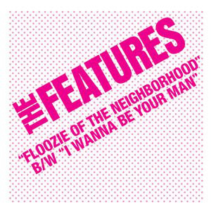 FEATURES (US/PUNK) / FLOOZIE OF THE NEIGHBORHOOD (7")