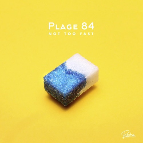 PLAGE 84 / NOT TOO FAST 12"