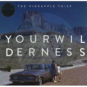 PINEAPPLE THIEF / パイナップル・シーフ / YOUR WILDERNESS: LIMITED PICTURED VINYL - 180g LIMITED VINYL