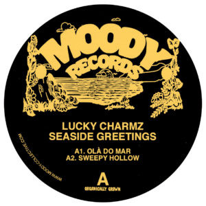 LUCKY CHARMZ / SEASIDE GREETINGS EP