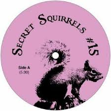 SECRET SQUIRRELS / #15 / #15