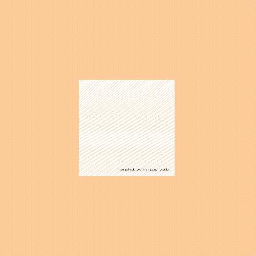 JAN JELINEK / ヤン・イェリネック / LOOP-FINDING-JAZZ-RECORDS