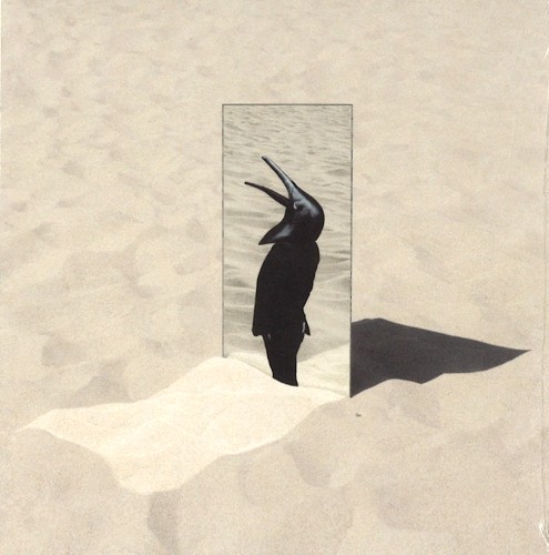 PENGUIN CAFE ORCHESTRA / ペンギン・カフェ・オーケストラ / THE IMPERFECT SEA