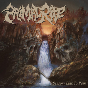 PRIMAL RITE / SENSORY LINK TO PAIN (COLOR 7")