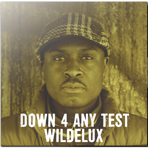 WILDELUX / DOWN 4 ANY TEST
