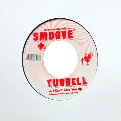 SMOOVE & TURRELL / スムーヴ&ターレル / I CAN'T GIVE YOU UP / HAVE LOVE (7")