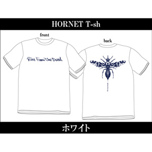 RISE FROM THE DEAD / HORNET T-SHIRTS WHITE/ Sサイズ