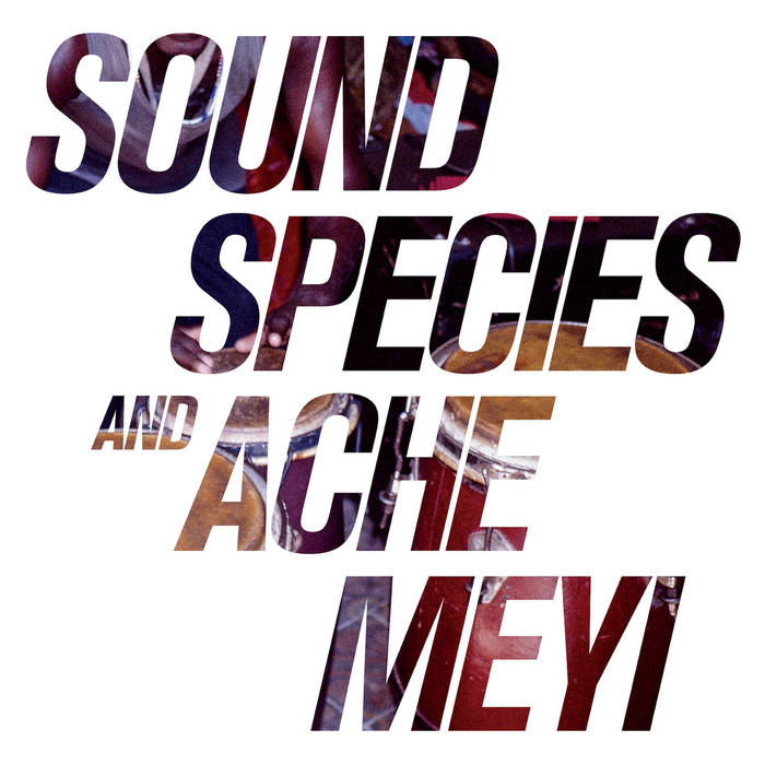 SOUNDSPECIES & ACHE MEI / サウンド・スピーシーズ・アンド・エイク・メイ / サウンド・スピーシーズ・アンド・エイク・メイ