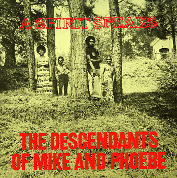 DESCENDANTS OF MIKE & PHOEBE / Spirit Speaks (LP/180g)