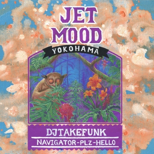 DJ TAKEFUNK / JET MOOD