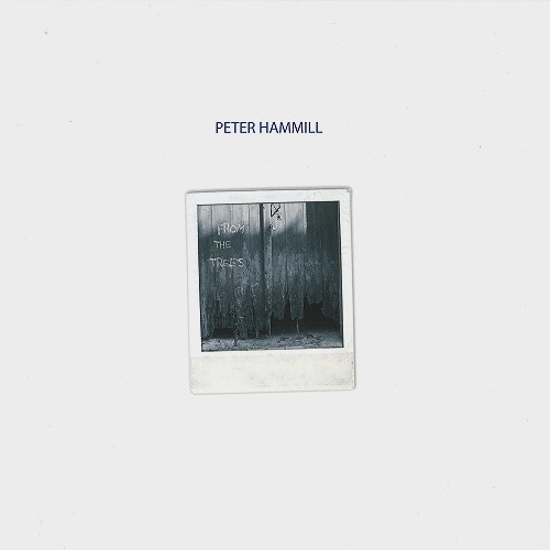 PETER HAMMILL / ピーター・ハミル / FROM THE TREES - 180g LIMITED VINYL