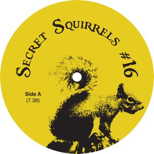SECRET SQUIRRELS / #16