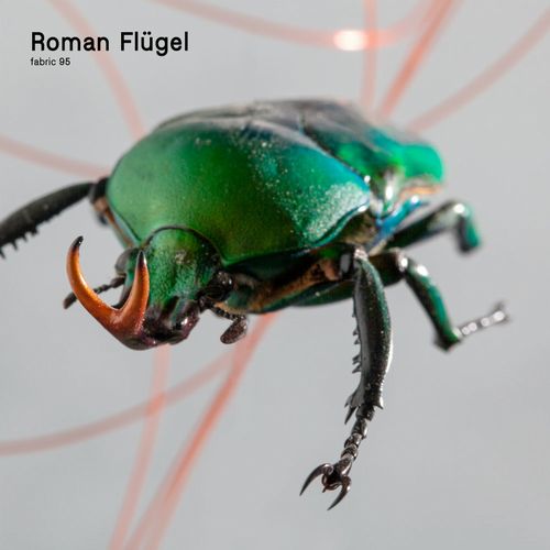 ROMAN FLUGEL / ローマン・フリューゲル / FABRIC 95
