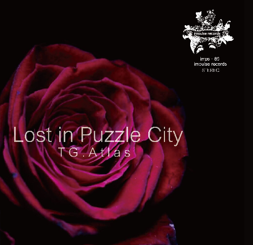 TG.ATLAS / ティージーアトラス / Lost in Puzzle City