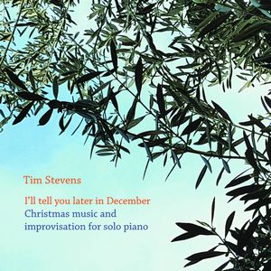 TIM STEVENS / ティム・スティーヴンス / I'LL TELL YOU LATER IN DECEMBER / I'LL TELL YOU LATER IN DECEMBER
