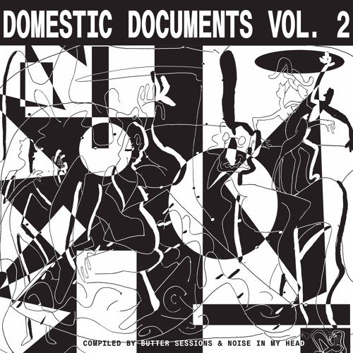 V.A.  / オムニバス / DOMESTIC DOCUMENTS VOL.2