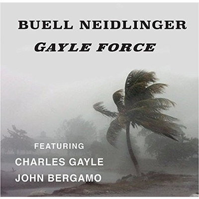 BUELL NEIDLINGER / ビュエル・ネイドリンガー / Gayle Force