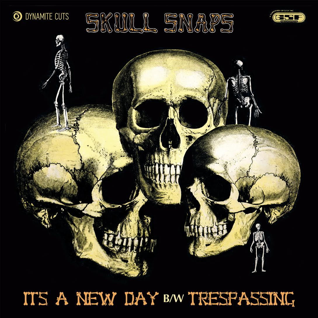 SKULL SNAPS / スカル・スナップス / IT'S A NEW DAY / TRESPASSING (7")