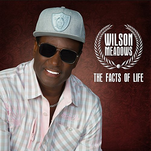 WILSON MEADOWS / ウィルソン・メドウズ / FACTS OF LIFE