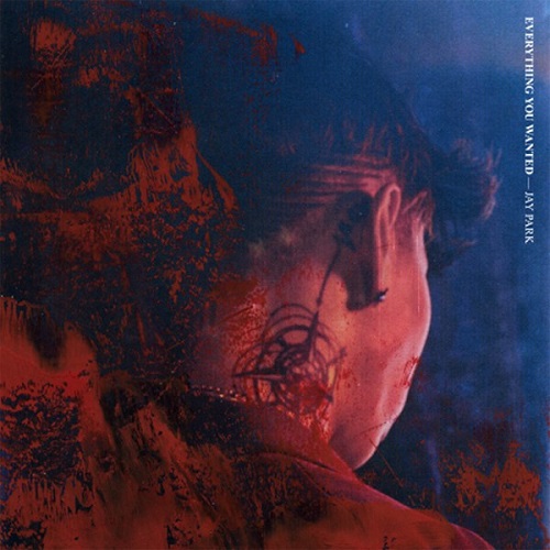 JAY PARK / EVERYTHING YOU WANTED [DELUXE EDITION]