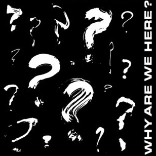 V.A. / WHY ARE WE HERE? (7")