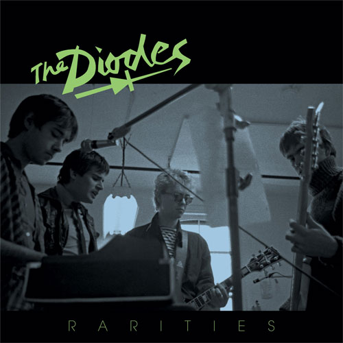 DIODES / ダイオーズ / RARITIES (LP)