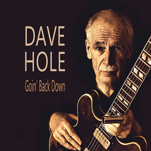 DAVE HOLE / GOIN' BACK DOWN (LP)