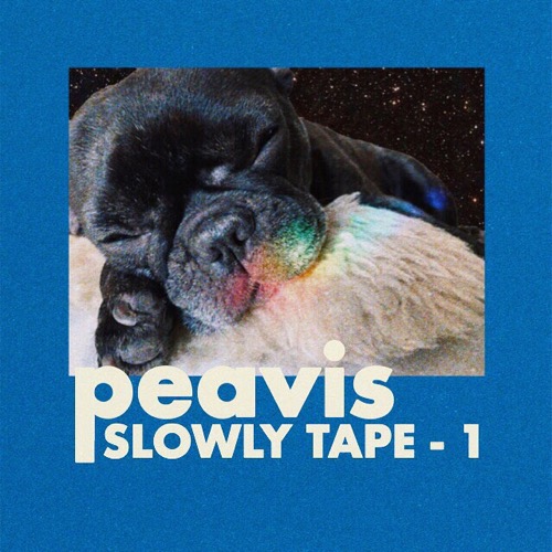 PEAVIS / SLOWLY TAPE
